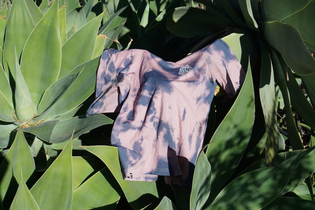 The Icon Merino T-shirt in tie-dye print thrown over a Foxtail Agave.