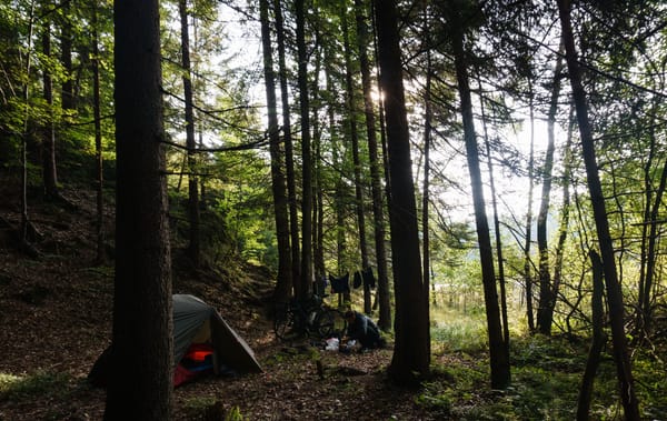 View of a campsite in the forest with a tent standing behind a tree, a clothesline with bike clothes spun between two trees and a person cooking on a stove