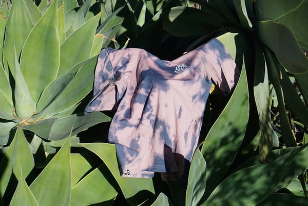 The Icon Merino T-shirt in tie-dye print thrown over a Foxtail Agave.